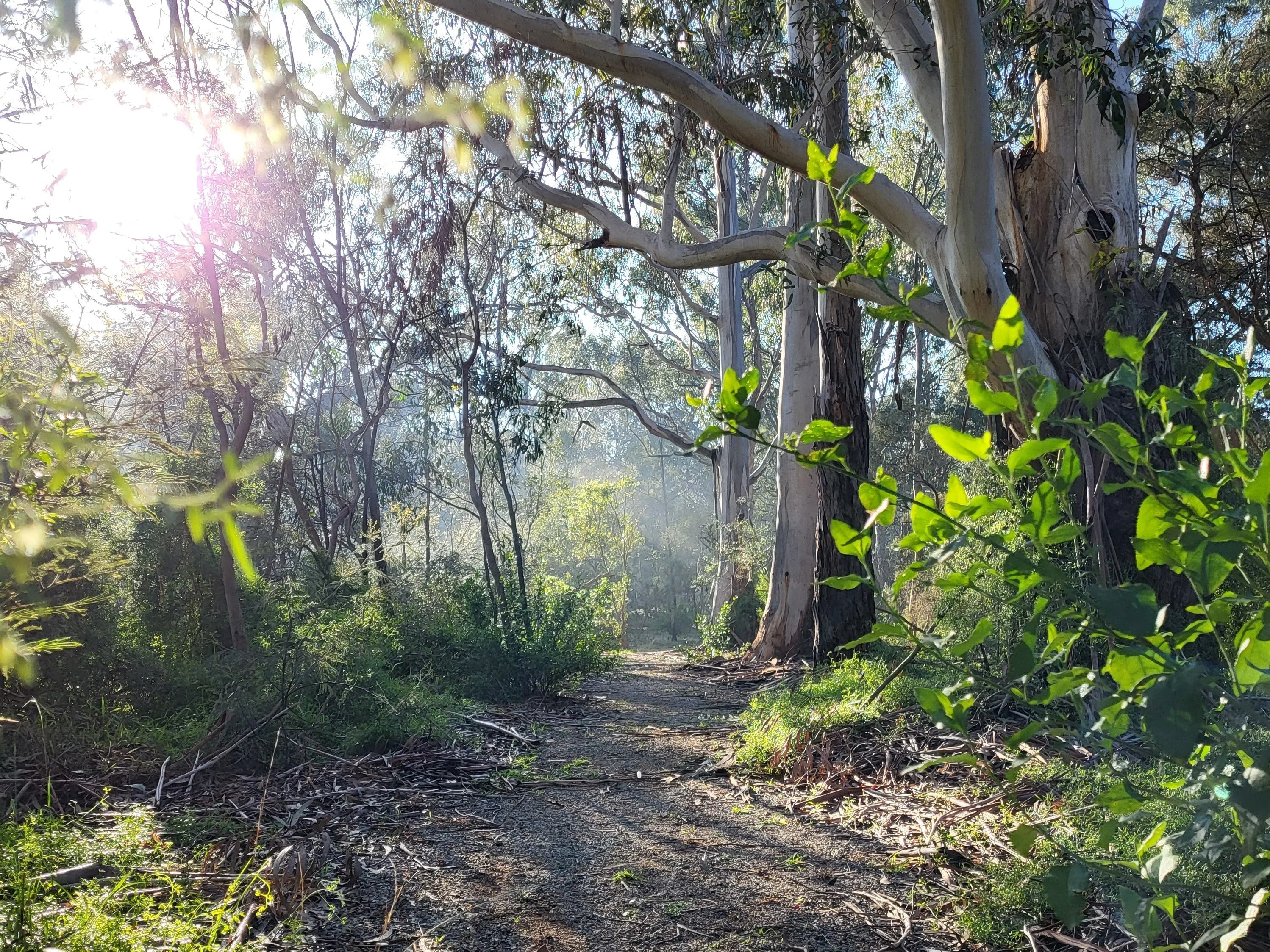 Touch grass and explore our new neighbourhood with us!