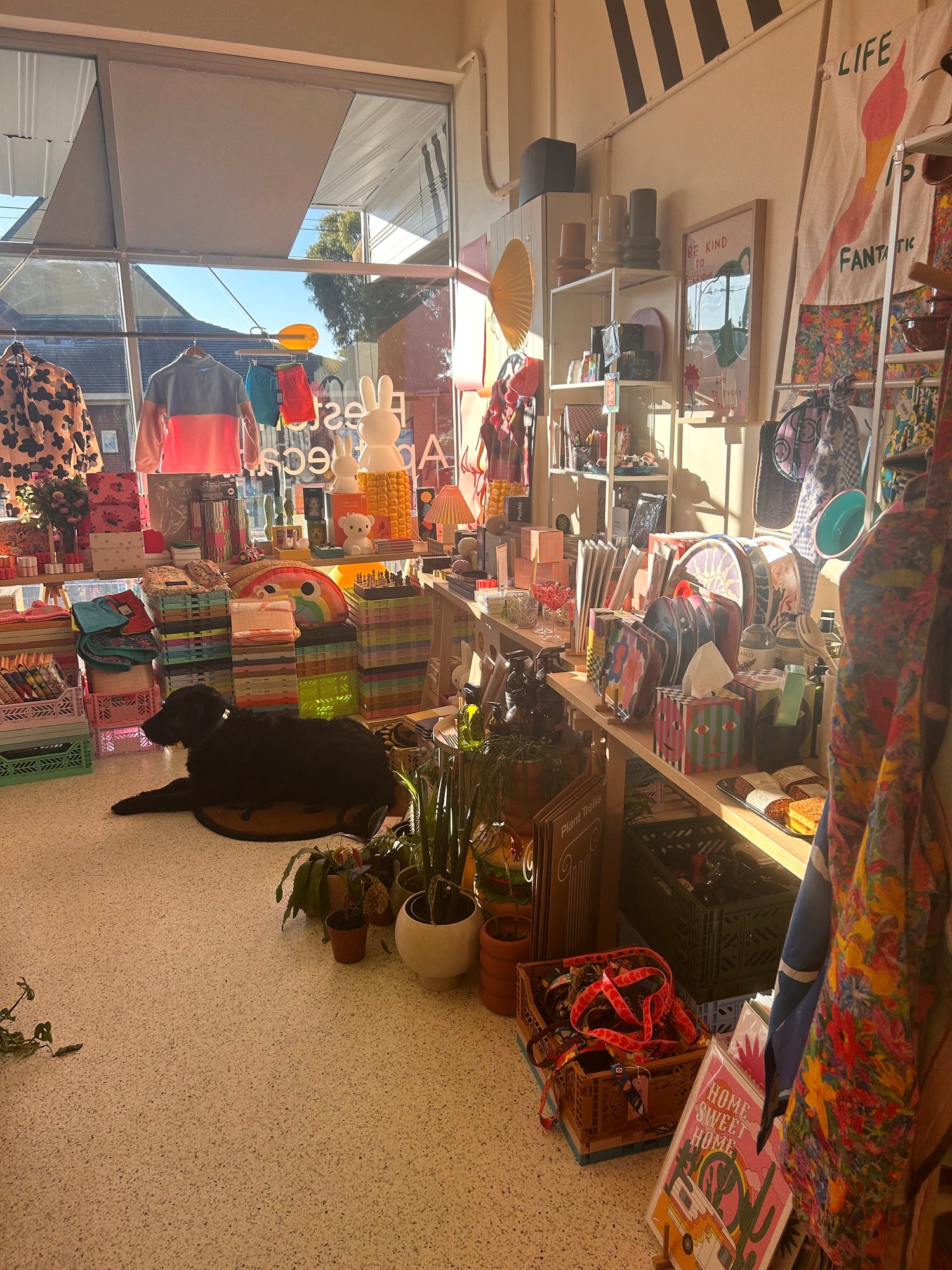 SHOP SMALL THIS YEAR!