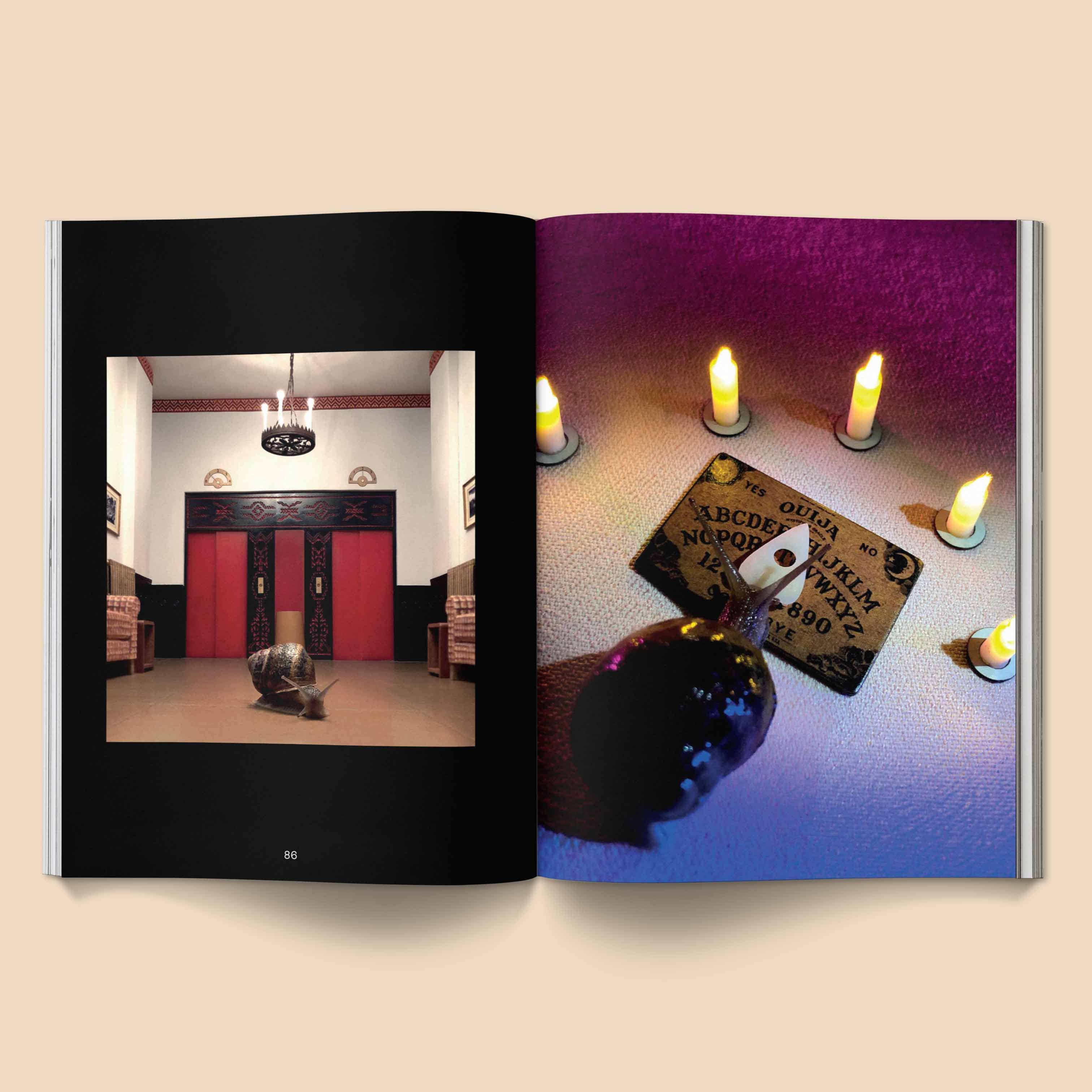 BROCCOLI MAGAZINE - Snail World 2: Welcome to Slimetown Coffee Table Book