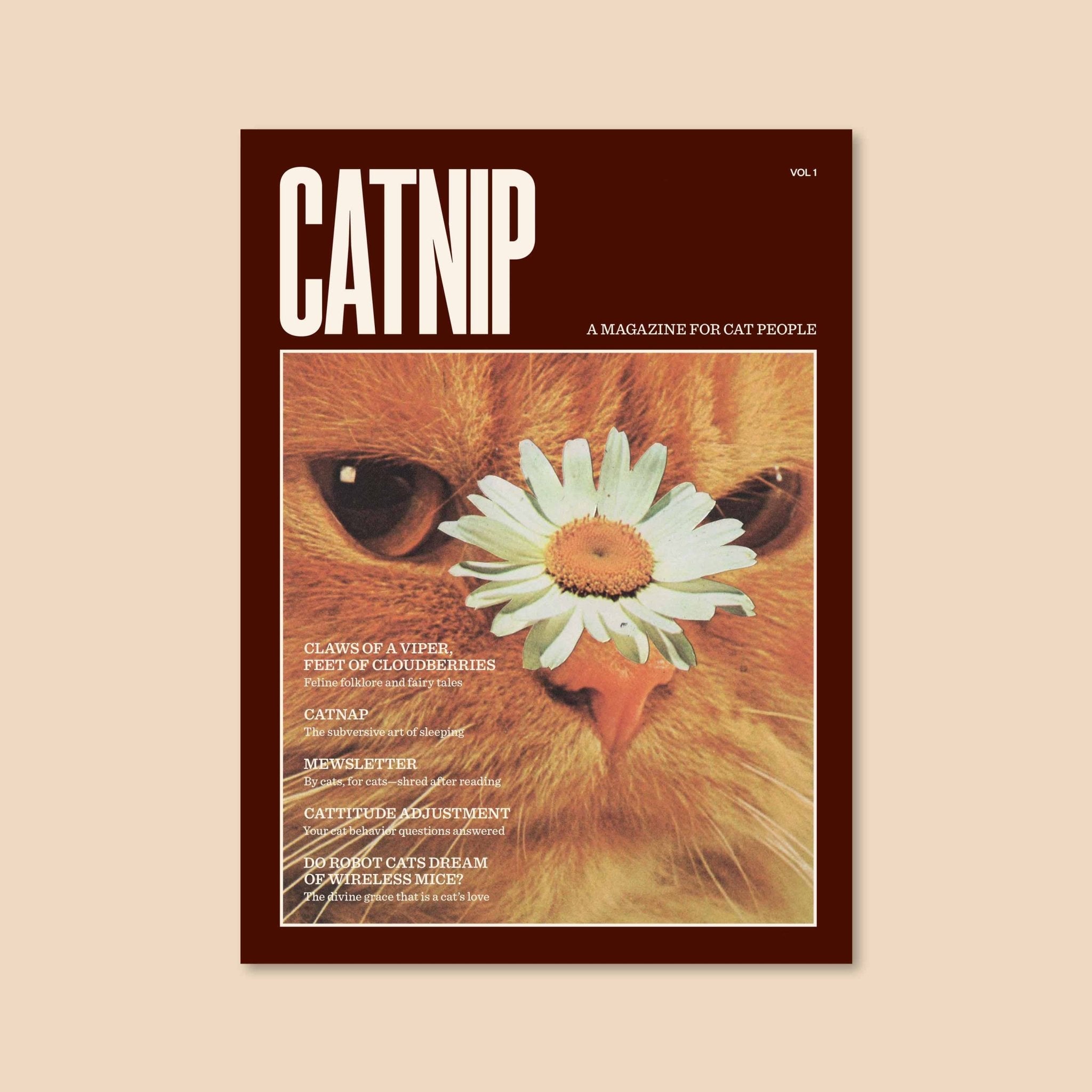 BROCCOLI MAGAZINE - Catnip Magazine