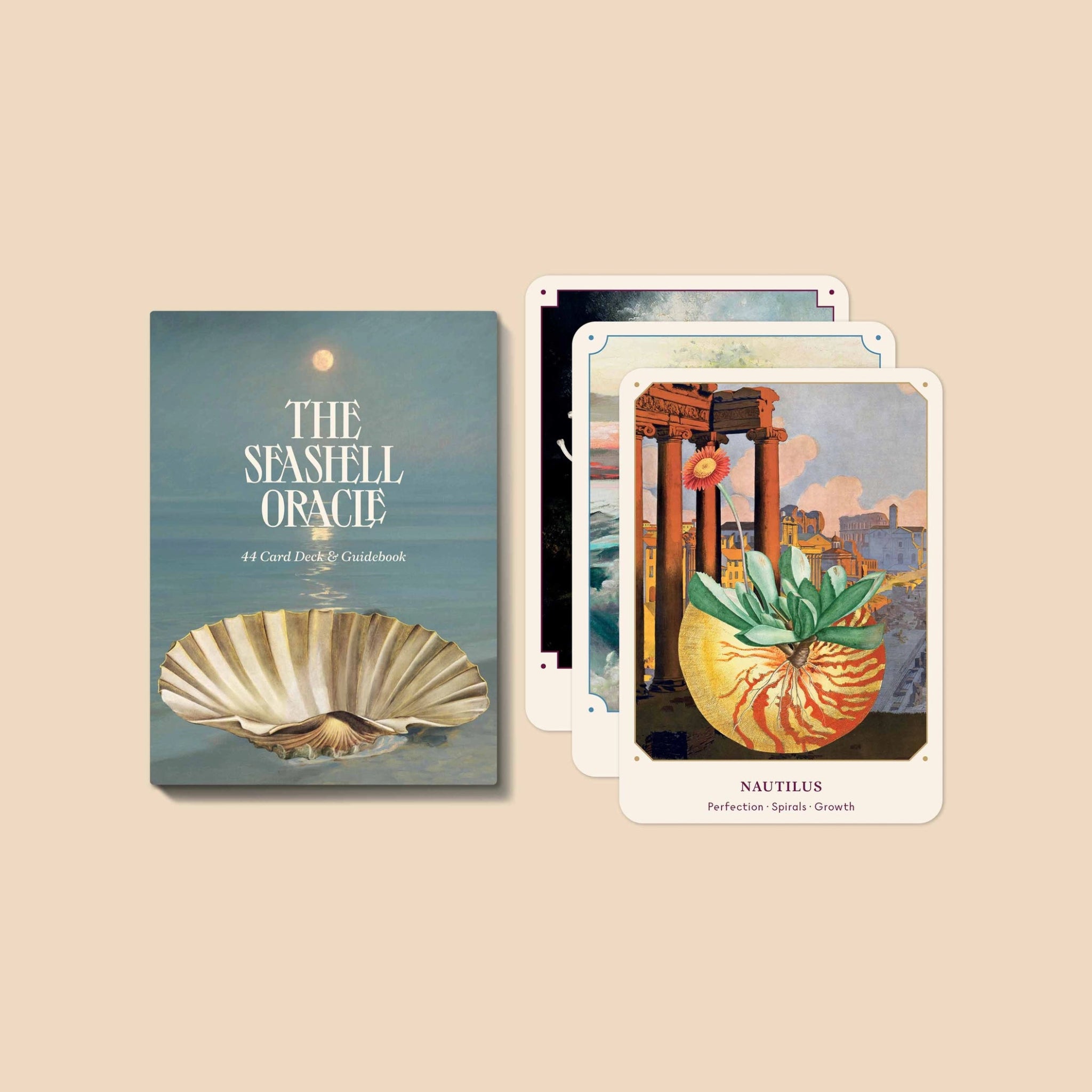 BROCCOLI MAGAZINE - The Seashell Oracle: 44 Card Deck and Guidebook