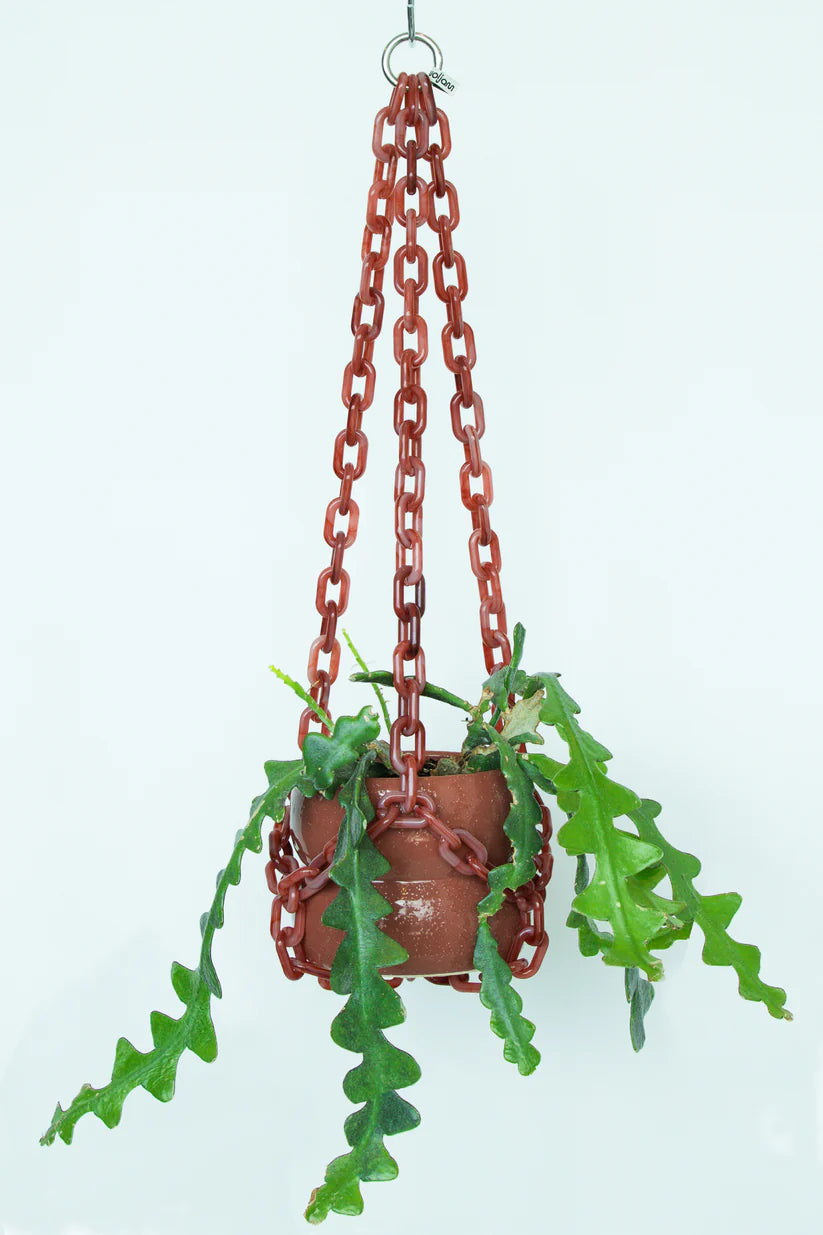 WOLJAM Universal Hanger