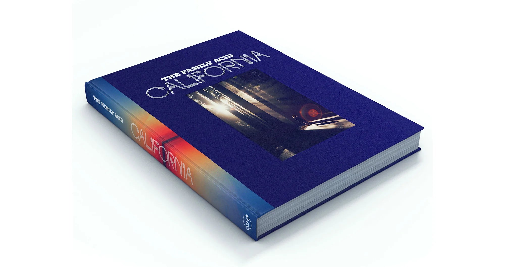 BROCCOLI MAGAZINE - The Family Acid: California Photo Book