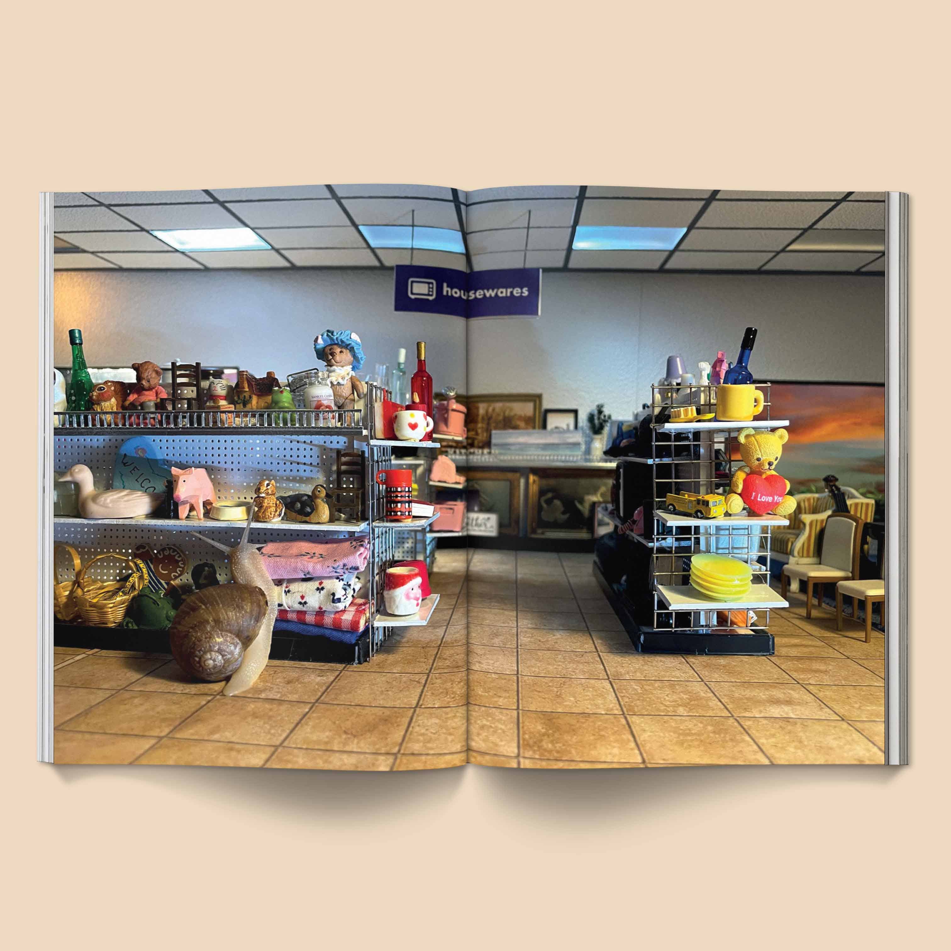 BROCCOLI MAGAZINE - Snail World 2: Welcome to Slimetown Coffee Table Book