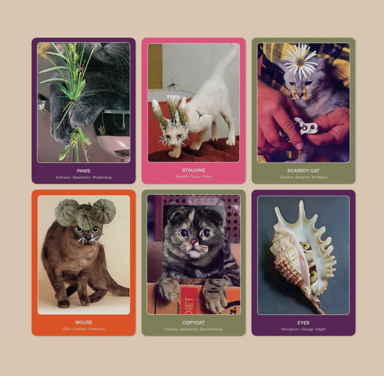 BROCCOLI MAGAZINE The Cat Oracle: 44 Card Deck and Guidebook