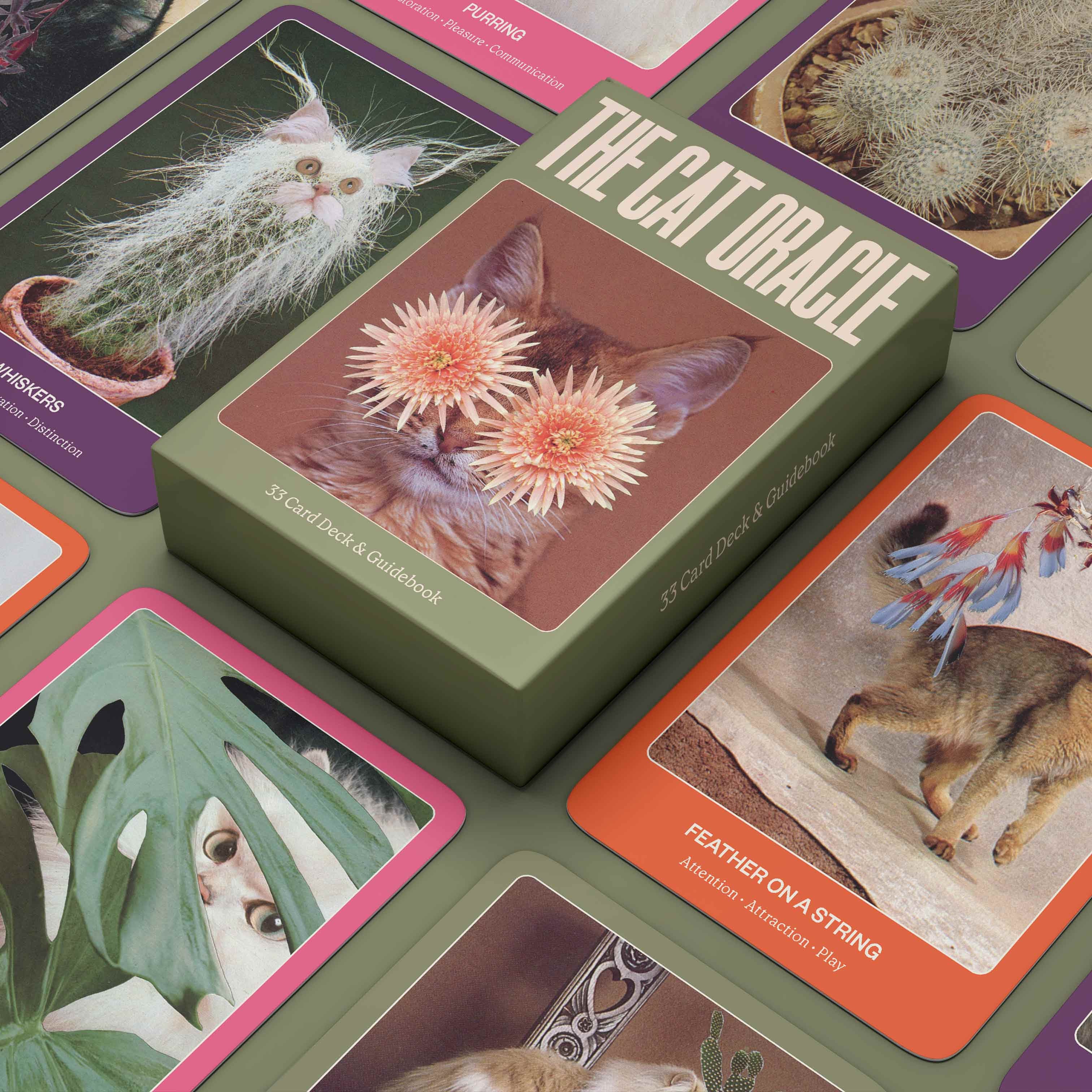 BROCCOLI MAGAZINE The Cat Oracle: 44 Card Deck and Guidebook