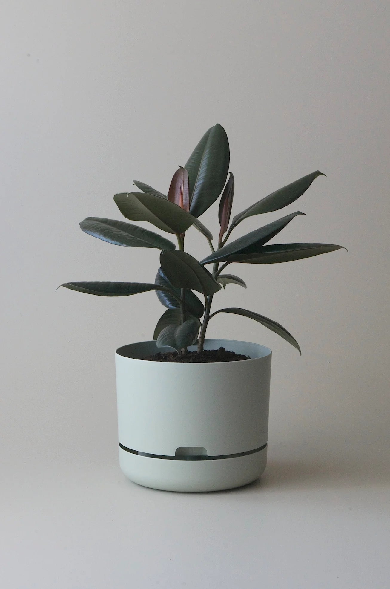 MR KITLY x Decor Selfwatering Plant Pot 250mm