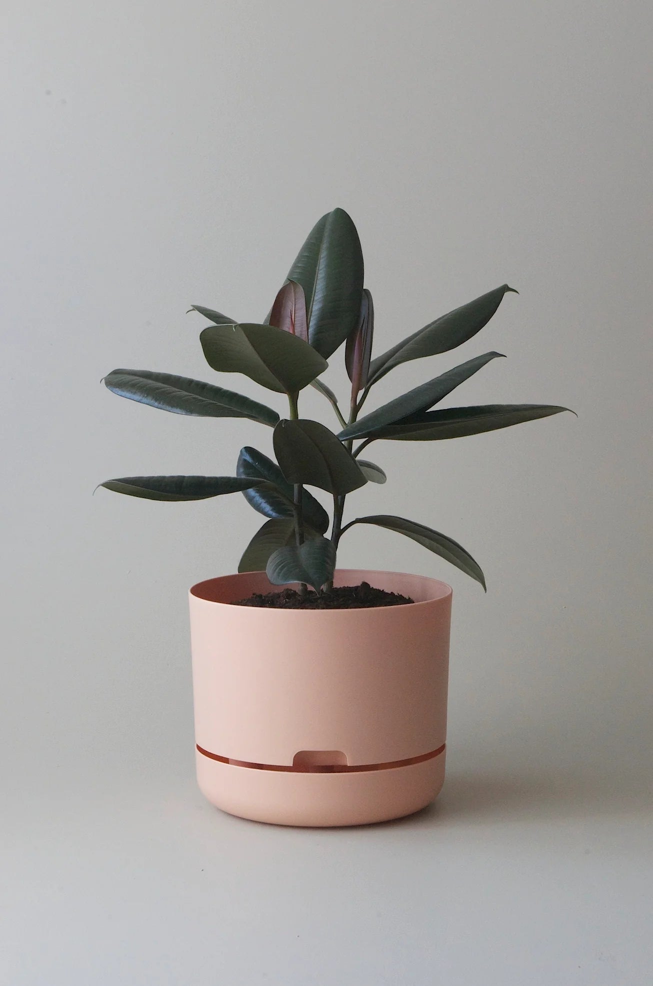 MR KITLY x Decor Selfwatering Plant Pot 250mm