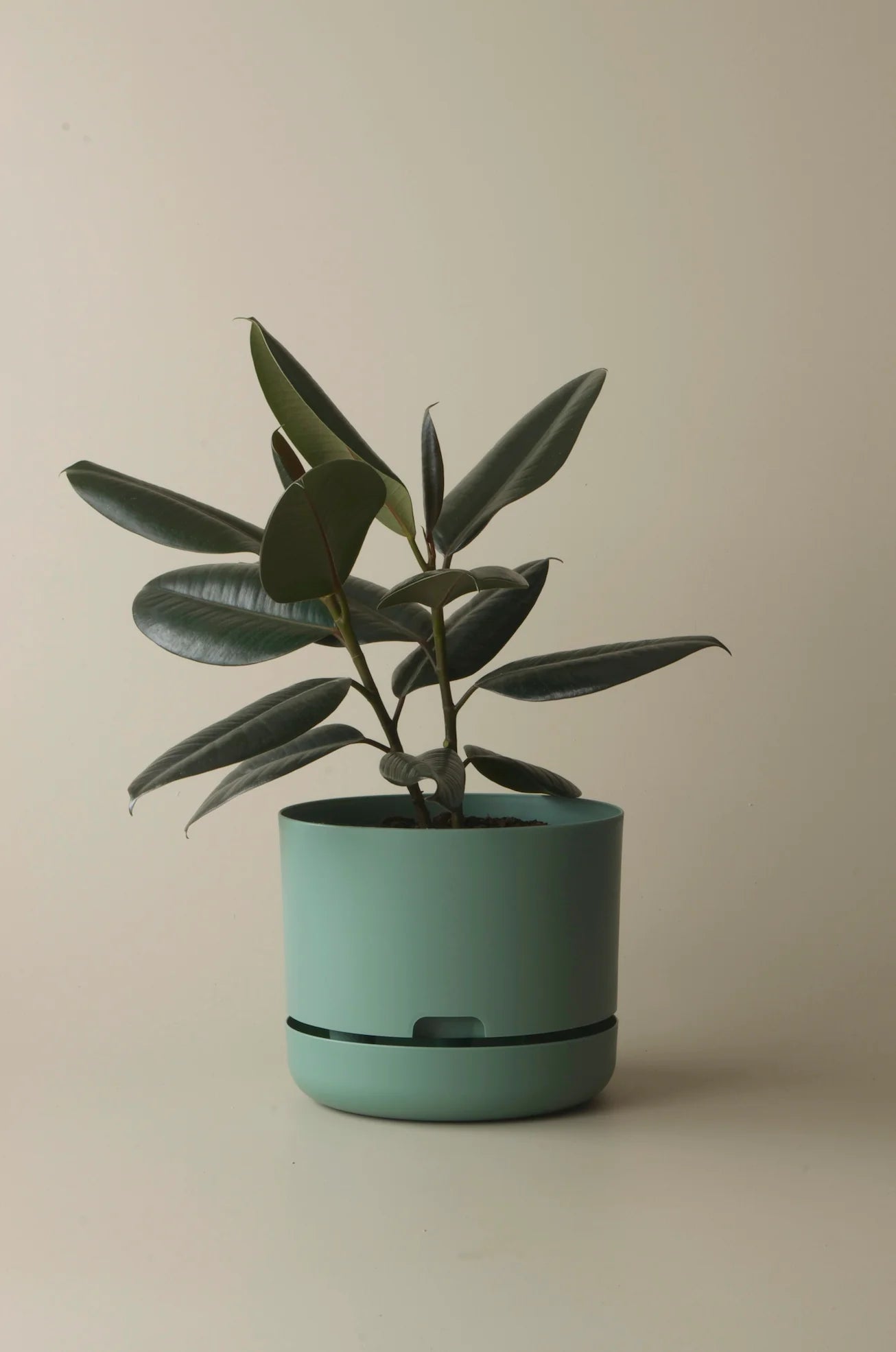 MR KITLY x Decor Selfwatering Plant Pot 250mm