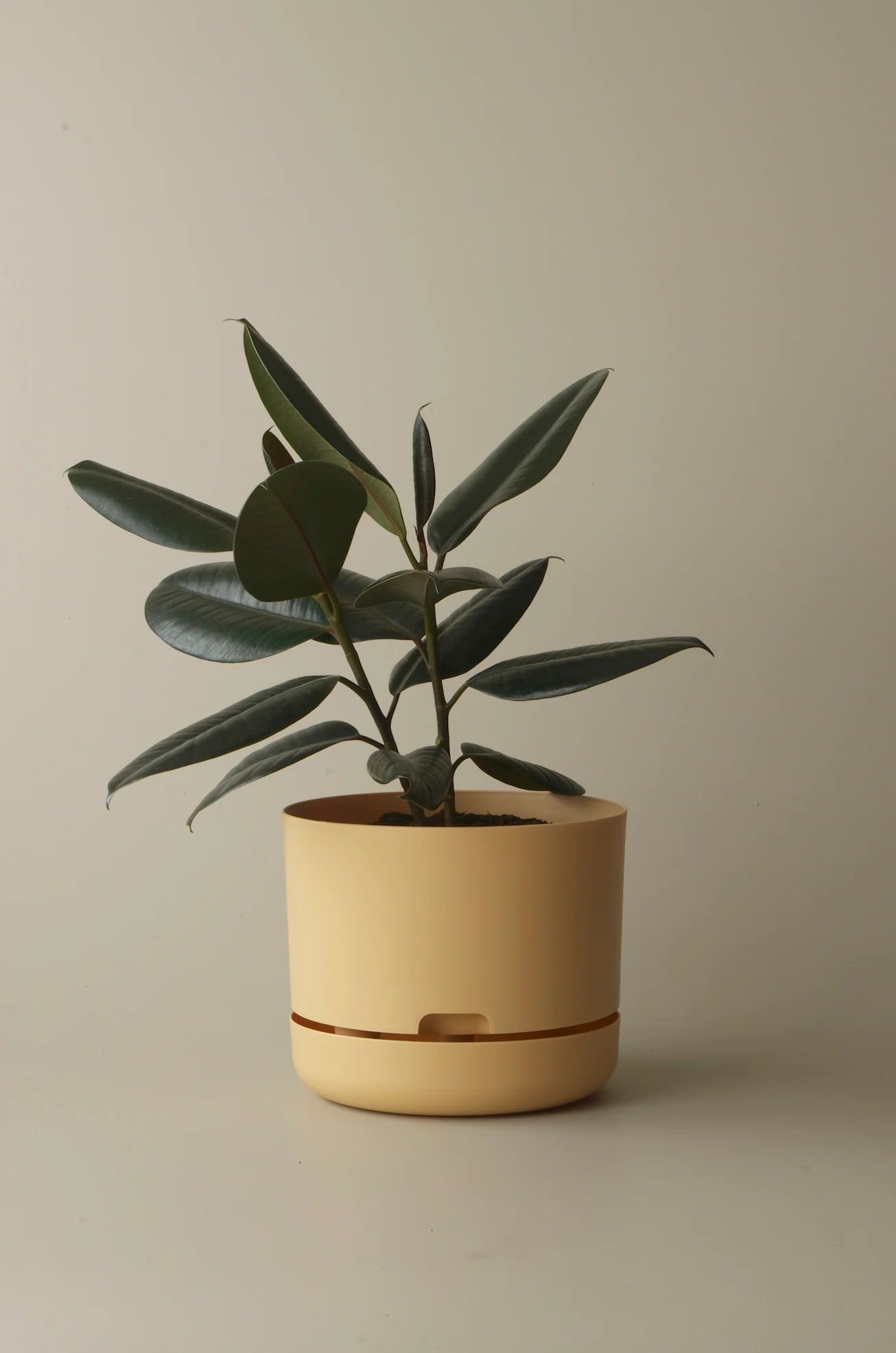 MR KITLY x Decor Selfwatering Plant Pot 250mm