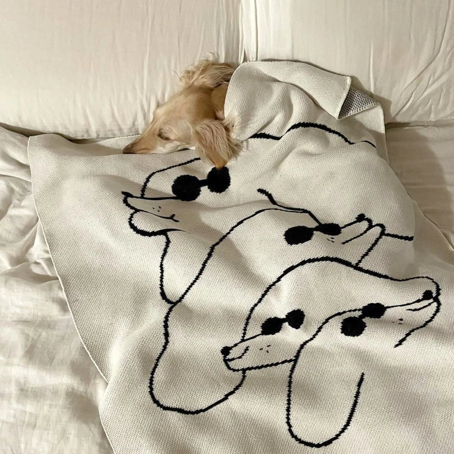 SLOW DOWN STUDIO - Dawgs Mini Blanket