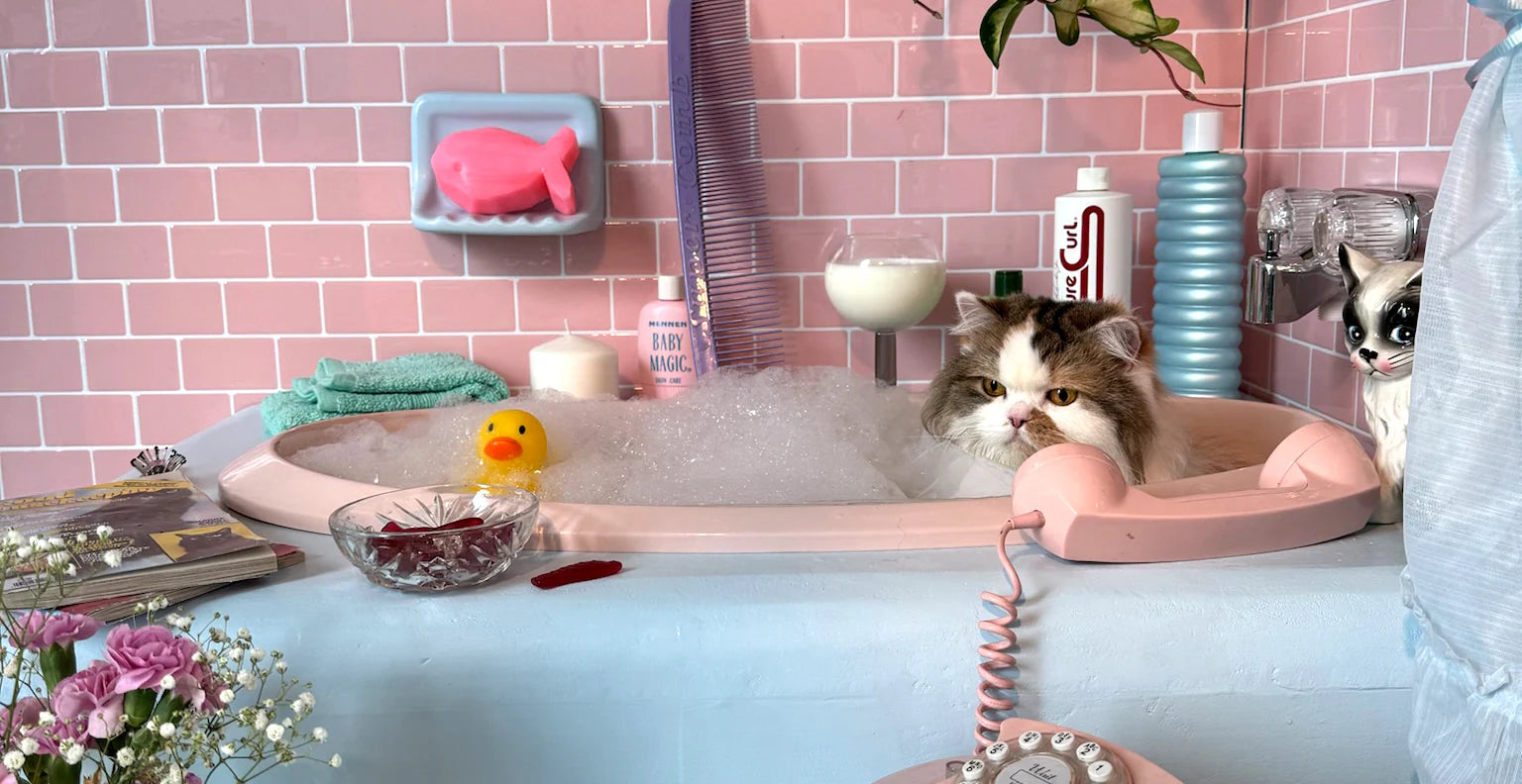 LE PUZZ - ME-ow Time