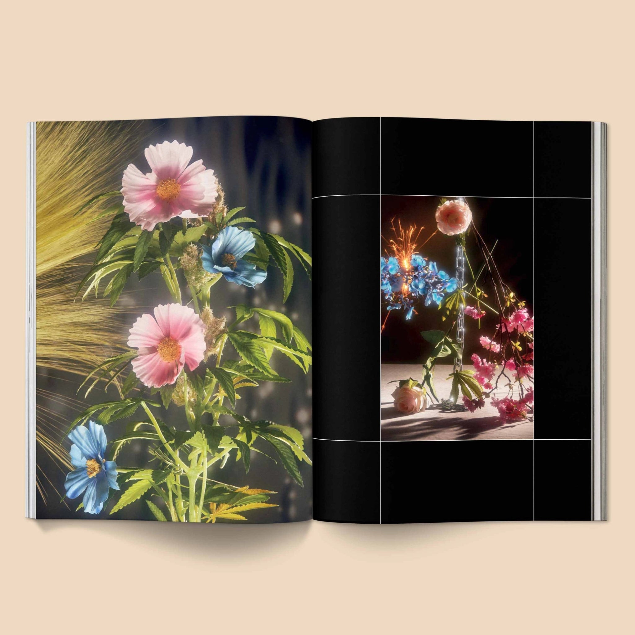 BROCCOLI MAGAZINE Broccoli Magazine Issue 18