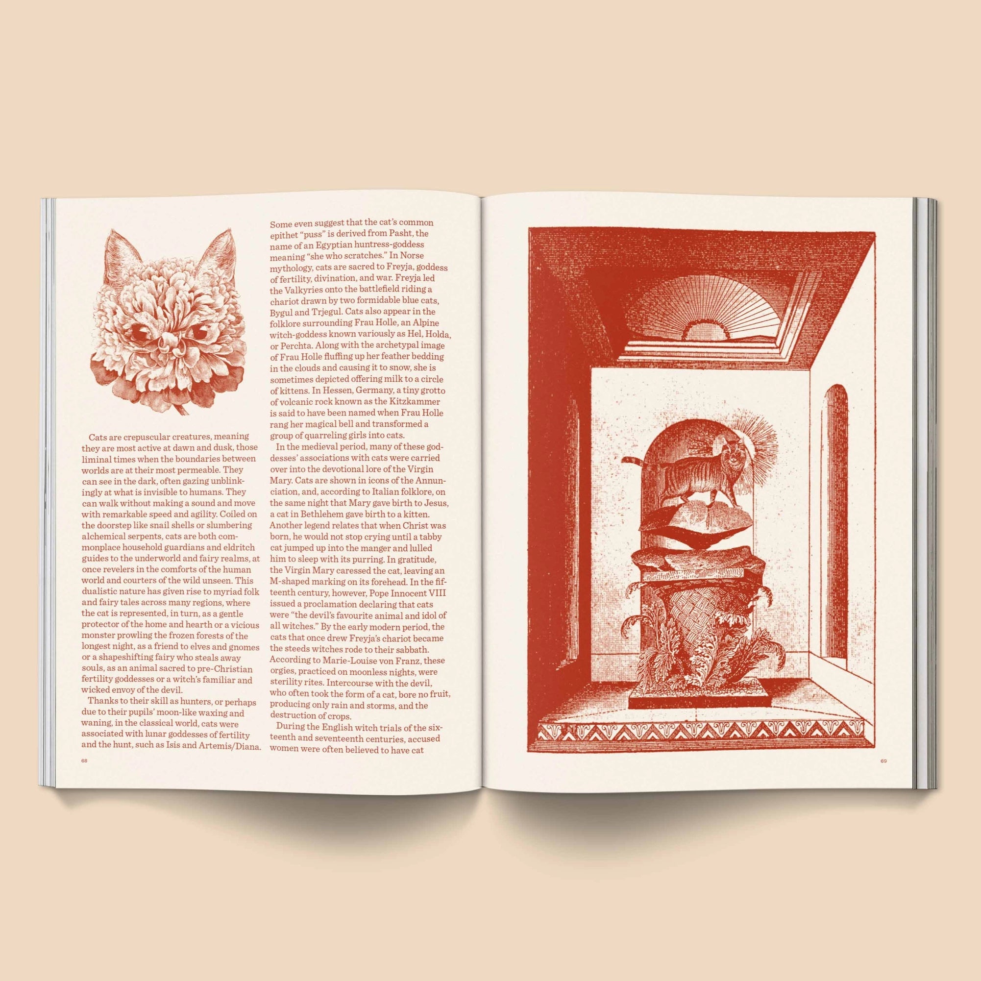 BROCCOLI MAGAZINE - Catnip Magazine