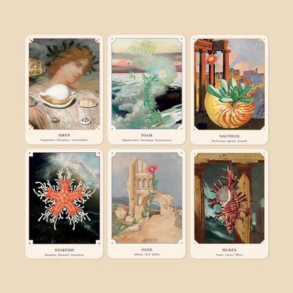 BroccoliBROCCOLI MAGAZINE The Seashell Oracle: 44 Card Deck and GuidebookPreston Apothecary