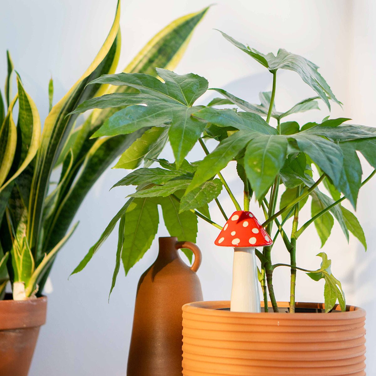 DOIY - Amanita Watering System