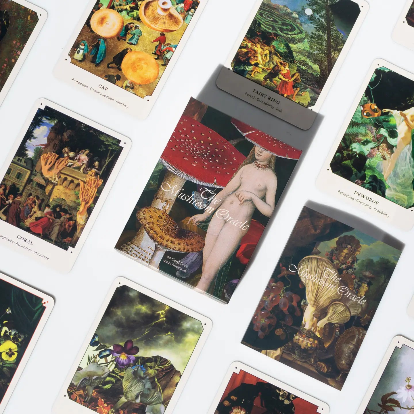 BROCCOLI MAGAZINE -The Mushroom Oracle: 44 Card Deck and Guidebook