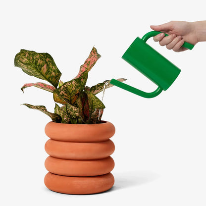 AREAWARE  Tango Watering Can (Short)