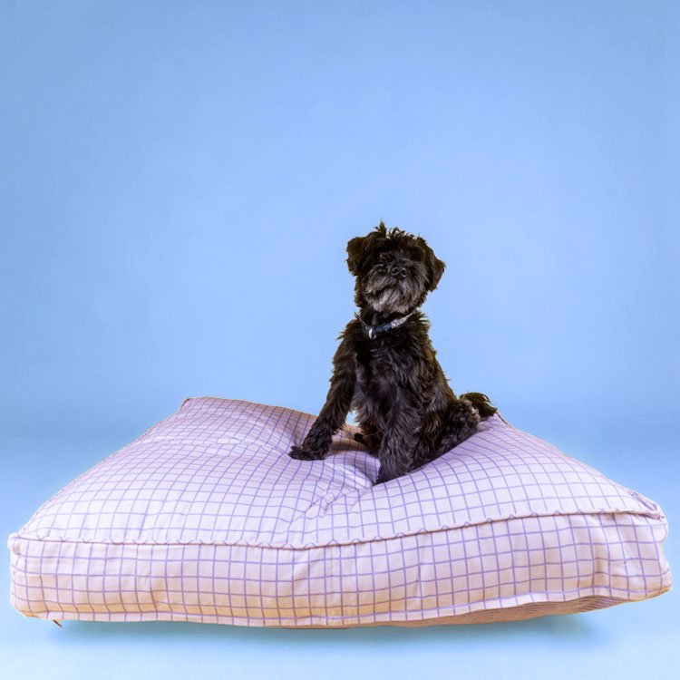 WINNIE & OSLOWINNIE & OSLO Pet Bed in Pastel Check - PICK UP ONLYPreston Apothecary