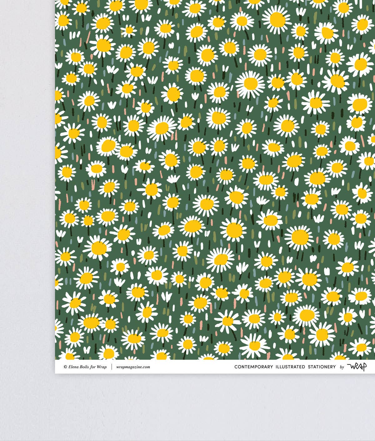 WRAP - 'Daisies' Gift Wrap