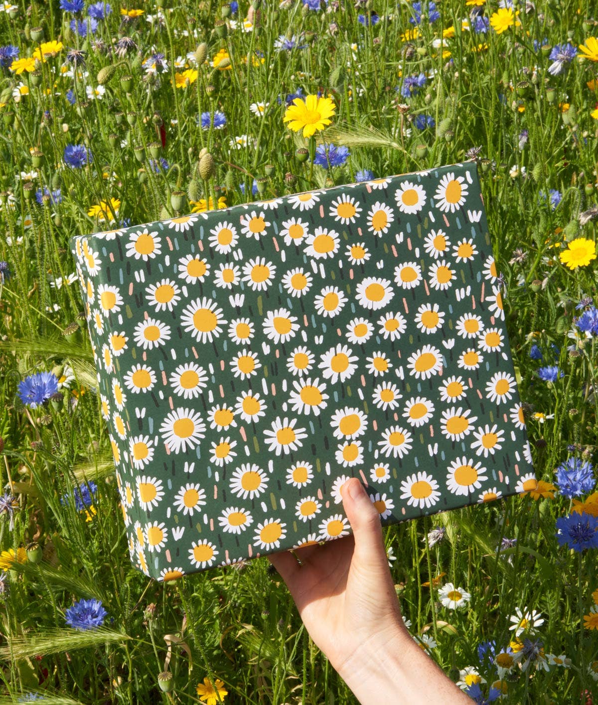 WRAP - 'Daisies' Gift Wrap