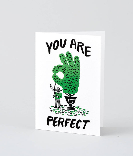 WrapWrap - 'You Are Perfect' Greetings CardPreston Apothecary